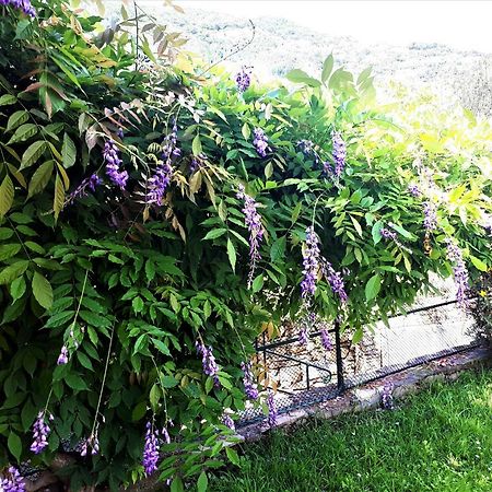 L'Antico Frantoio Villa ราปาลโล ภายนอก รูปภาพ