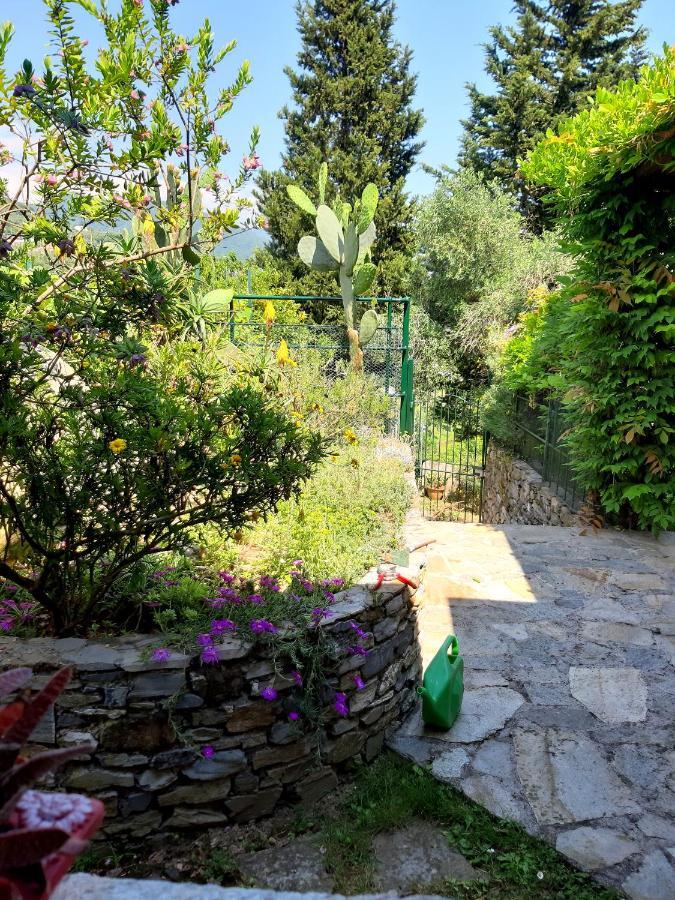 L'Antico Frantoio Villa ราปาลโล ภายนอก รูปภาพ