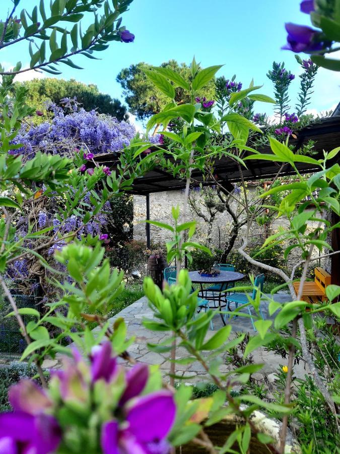 L'Antico Frantoio Villa ราปาลโล ภายนอก รูปภาพ