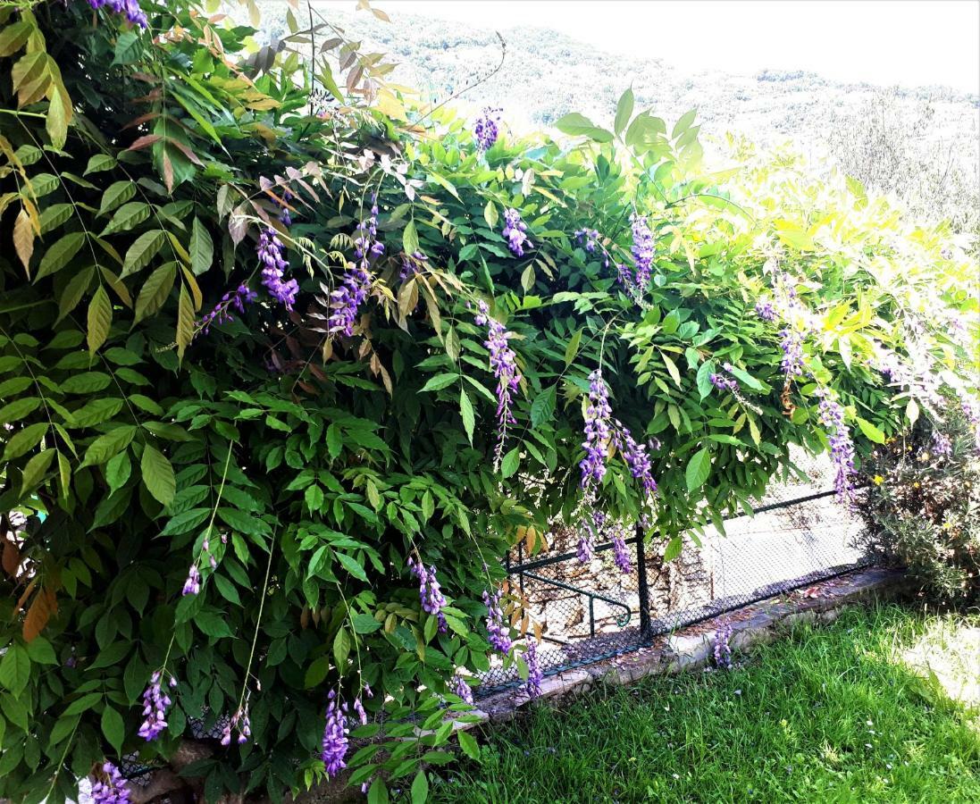 L'Antico Frantoio Villa ราปาลโล ภายนอก รูปภาพ